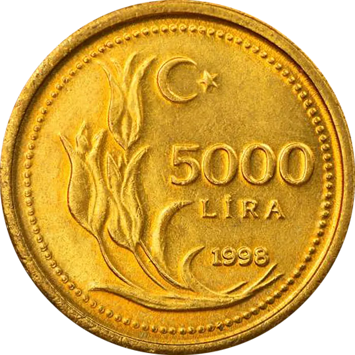5000 Lira (İnce)